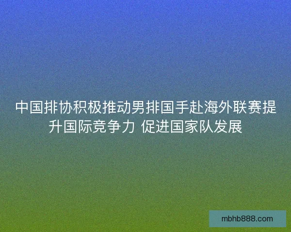 中国排协积极推动男排国手赴海外联赛提升国际竞争力 促进国家队发展